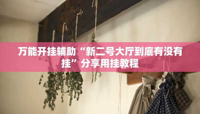 万能开挂辅助“同城游牛鬼辅助软件下载”2025开挂教程步骤