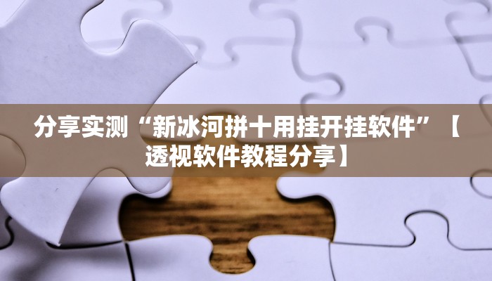 分享实测“新冰河拼十用挂开挂软件”【透视软件教程分享】
