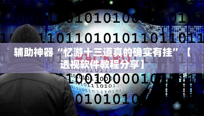 辅助神器“忆游十三道真的确实有挂”【透视软件教程分享】
