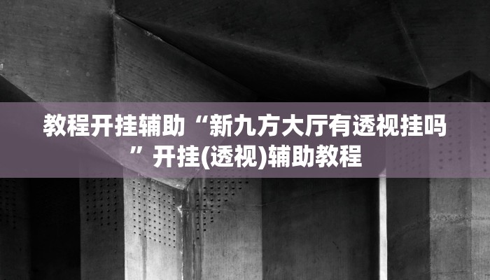 辅助神器“新星游开挂辅助软件”【透视软件教程分享】