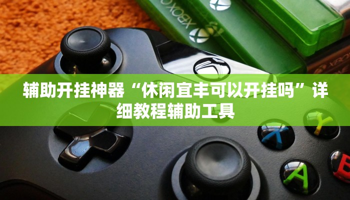 辅助开挂神器“休闲宜丰可以开挂吗”详细教程辅助工具