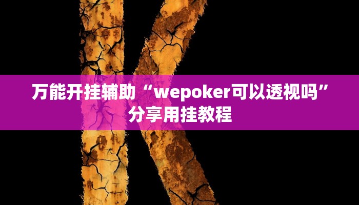 实测教程”十三十三水比鸡挂”2025开挂教程步骤