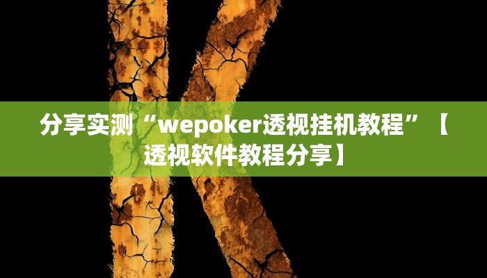 分享实测“wepoker透视挂机教程”【透视软件教程分享】