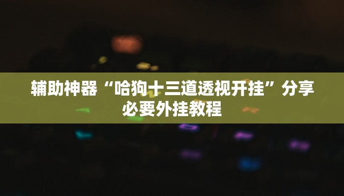 辅助神器“哈狗十三道透视开挂”分享必要外挂教程
