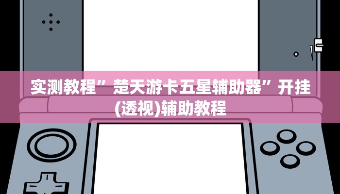 实测教程”楚天游卡五星辅助器”开挂(透视)辅助教程
