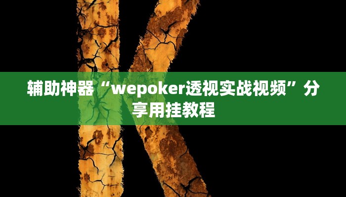 辅助神器“wepoker透视实战视频”分享用挂教程