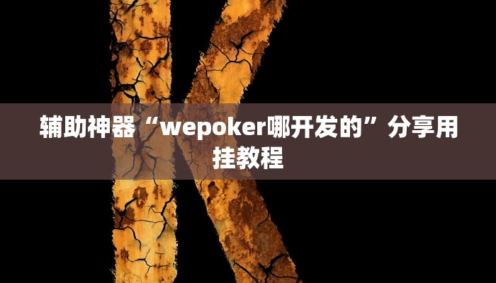 辅助神器“wepoker哪开发的”分享用挂教程