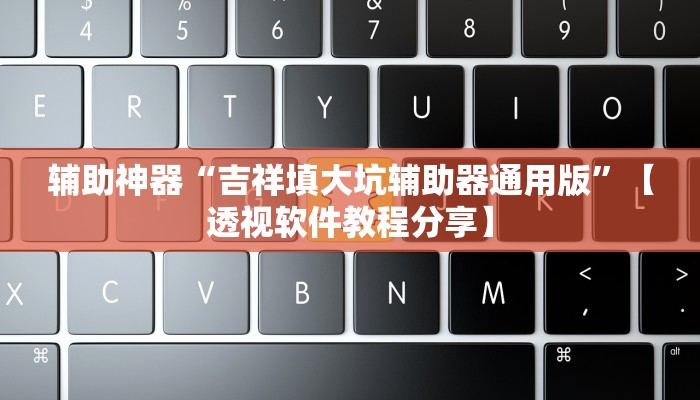 辅助神器“吉祥填大坑辅助器通用版”【透视软件教程分享】