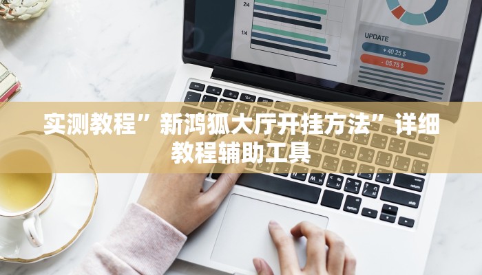 实测教程”新鸿狐大厅开挂方法”详细教程辅助工具