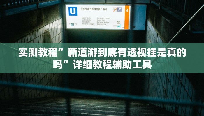教程开挂辅助“新九哥大厅透视辅助最新”开挂(透视)辅助教程