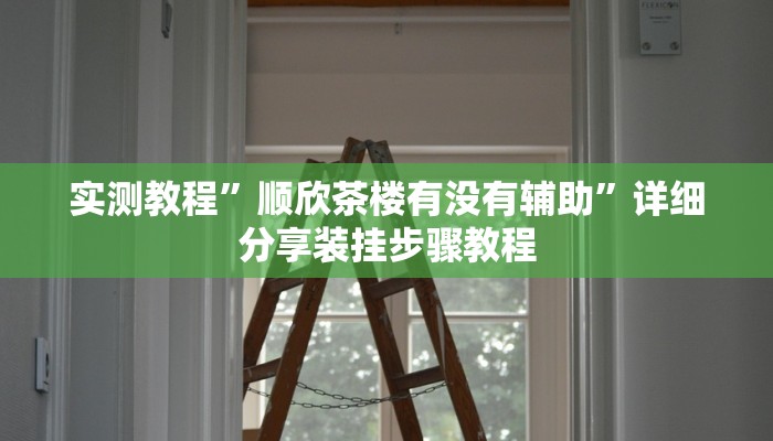万能开挂辅助“边锋游戏辅助挂”【透视软件教程分享】