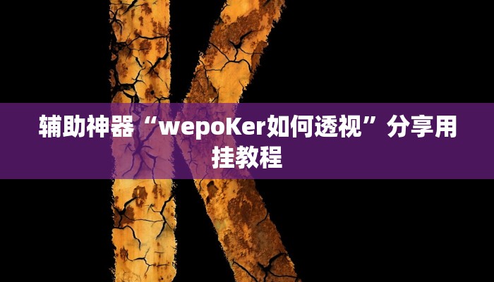 辅助神器“wepoKer如何透视”分享用挂教程