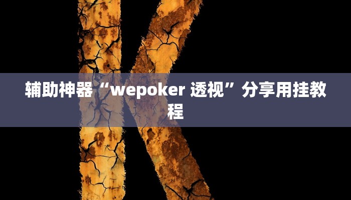 辅助神器“wepoker 透视”分享用挂教程