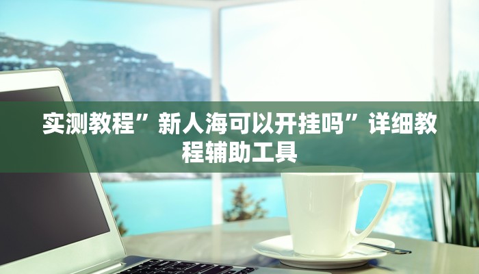 实测教程”新人海可以开挂吗”详细教程辅助工具