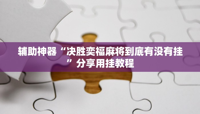 辅助神器“决胜奕福麻将到底有没有挂”分享用挂教程