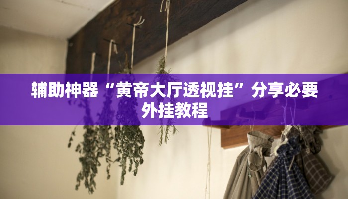 辅助神器“黄帝大厅透视挂”分享必要外挂教程 辅助神器“黄帝大厅透视挂”分享必要外挂教程