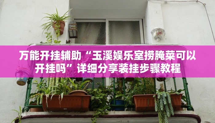 万能开挂辅助“玉溪娱乐室捞腌菜可以开挂吗”详细分享装挂步骤教程
